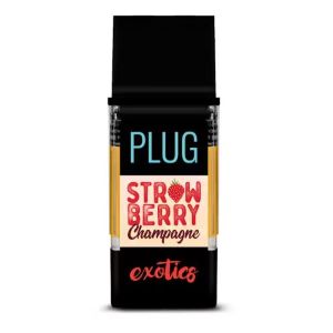 strawberry-champange 2 Strawberry campaign strain for sale