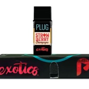 Strawberry campaign strain