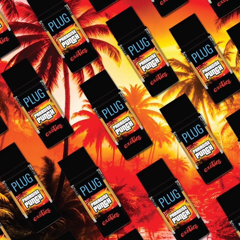 PARADISE PUNCH 2 PARADISE PUNCH