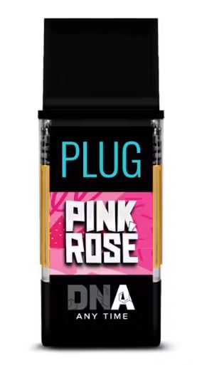 Pink rose 2